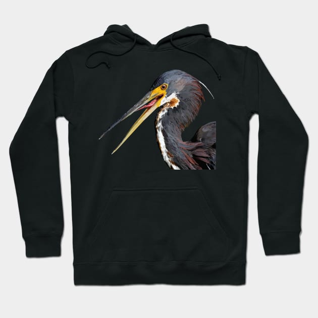 Tricolored Heron Hoodie by obscurite